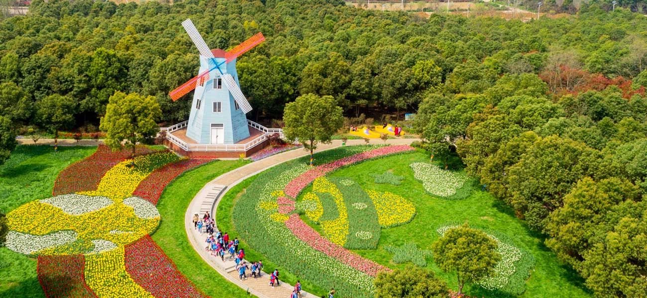 东西湖郁金香主题公园